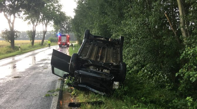 Verkehrsunfall Wentorfer Straße