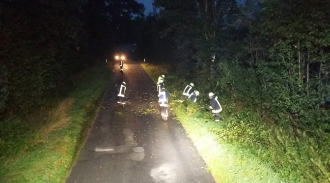 Baum fällt auf Straße