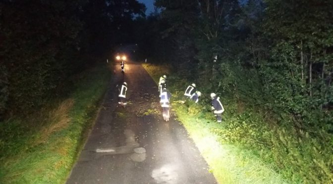 Baum fällt auf Straße